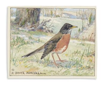 (BIRDS.) Horsfall, Robert Bruce. Two miniature ornithological watercolors